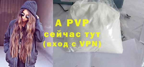 дмт Белокуриха