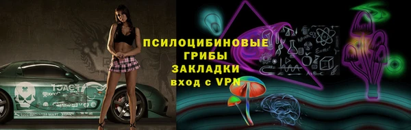 прущие грибы Богданович