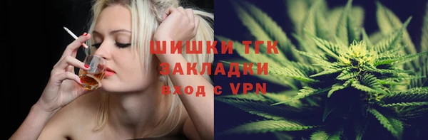 дмт Белокуриха