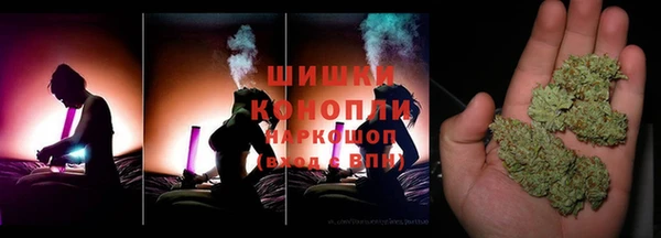 прущие грибы Богданович