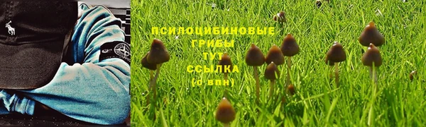 дмт Белокуриха