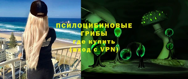 дмт Белокуриха