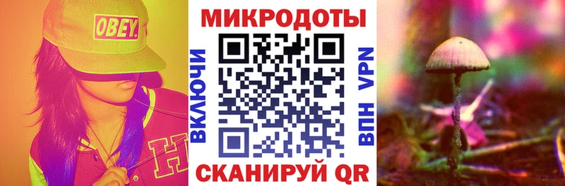 Купить где  Бавлы  Псилоцибиновые грибы ЛСД 